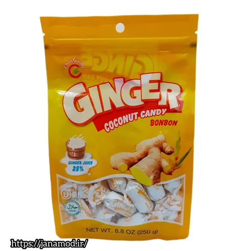 شیرینی زنجبیلی (250 گرمی) ginger